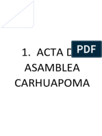 Carhuapoma 4