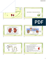 Fisiopatologia e dietoterapia nas doenças renais