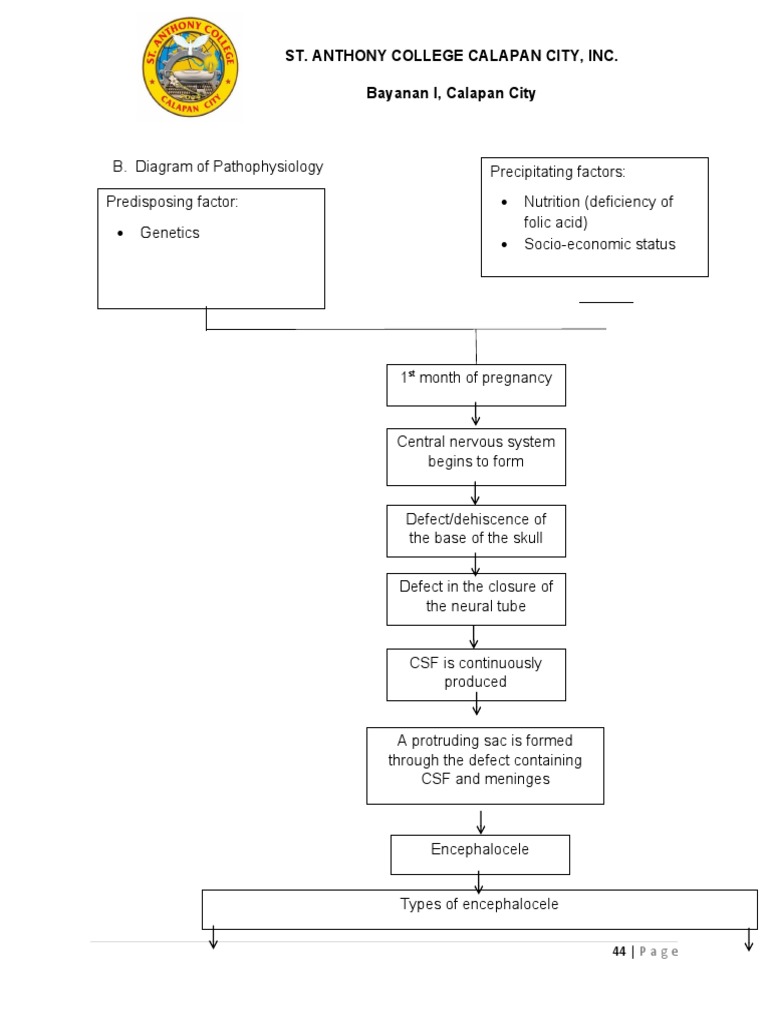 Nursing Care for Occipital Encephalocele | PDF | Cerebrospinal Fluid ...