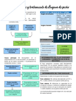 Vasodilatadores y Tratamiento de Angina de Pecho