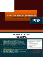 Motor and Sensory Examination Guide