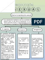 Mapa Conceptual Reproduccion Asexual 3