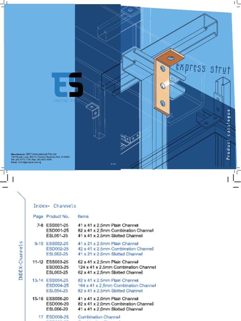 Express Strut Catalogue PDF