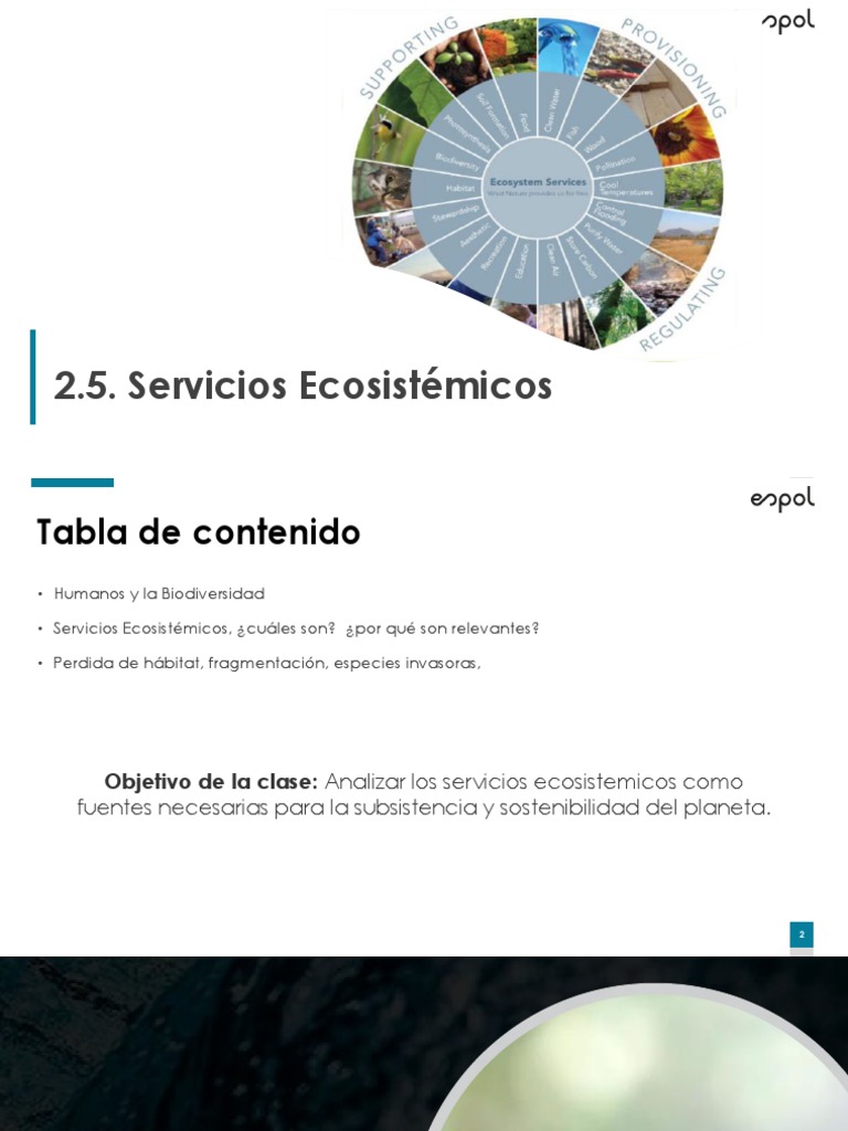 2.5. Servicios EcosistémicosPAOII20 | PDF | Destrucción del habitát ...