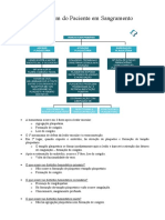 Abordagem do Paciente em Sangramento: Diagnóstico Diferencial de Distúrbios Hemostáticos