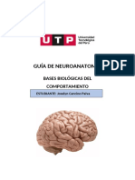 S8.s2 - Guía de Neuroanatomía - Completa - Josy