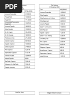 Abm Trial Balance Activity