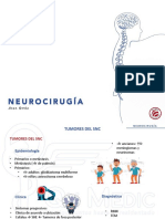 Fundamentos Teórico Neurocirugia