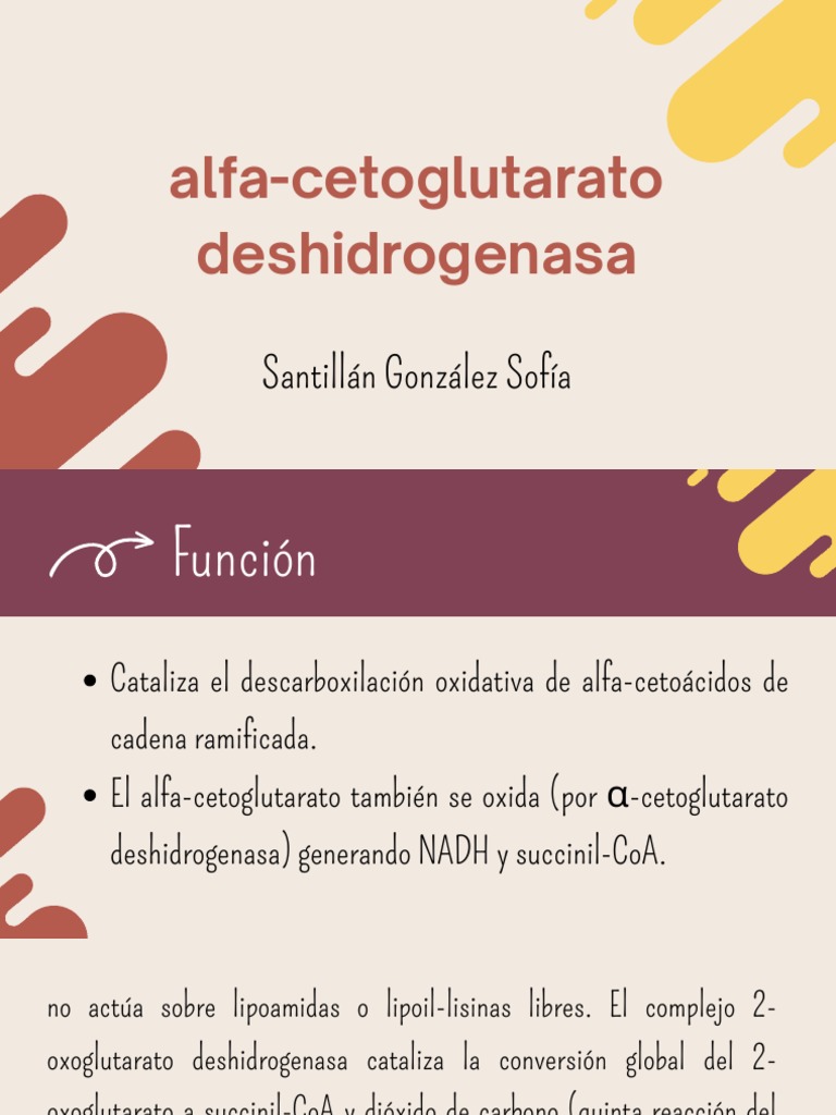 AlfaCetoglutarato Deshidrogenasa SofíaSantillán PDF
