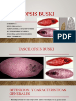 Fascilopsis Buski