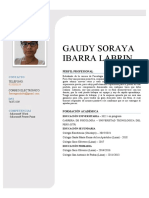 Gaudy Ibarra Labrin - CV