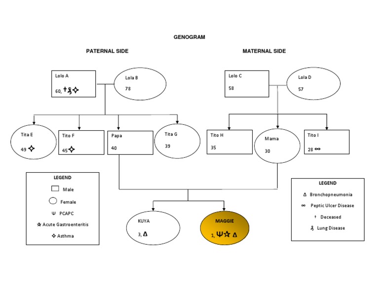 Family Health Genogram Overview | PDF