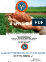 DEF - Curso para Agricultores (BATATA)