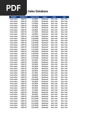 Adidas US Sales Data Overview | PDF | Publicly Traded Companies Of The  United States | Retailing