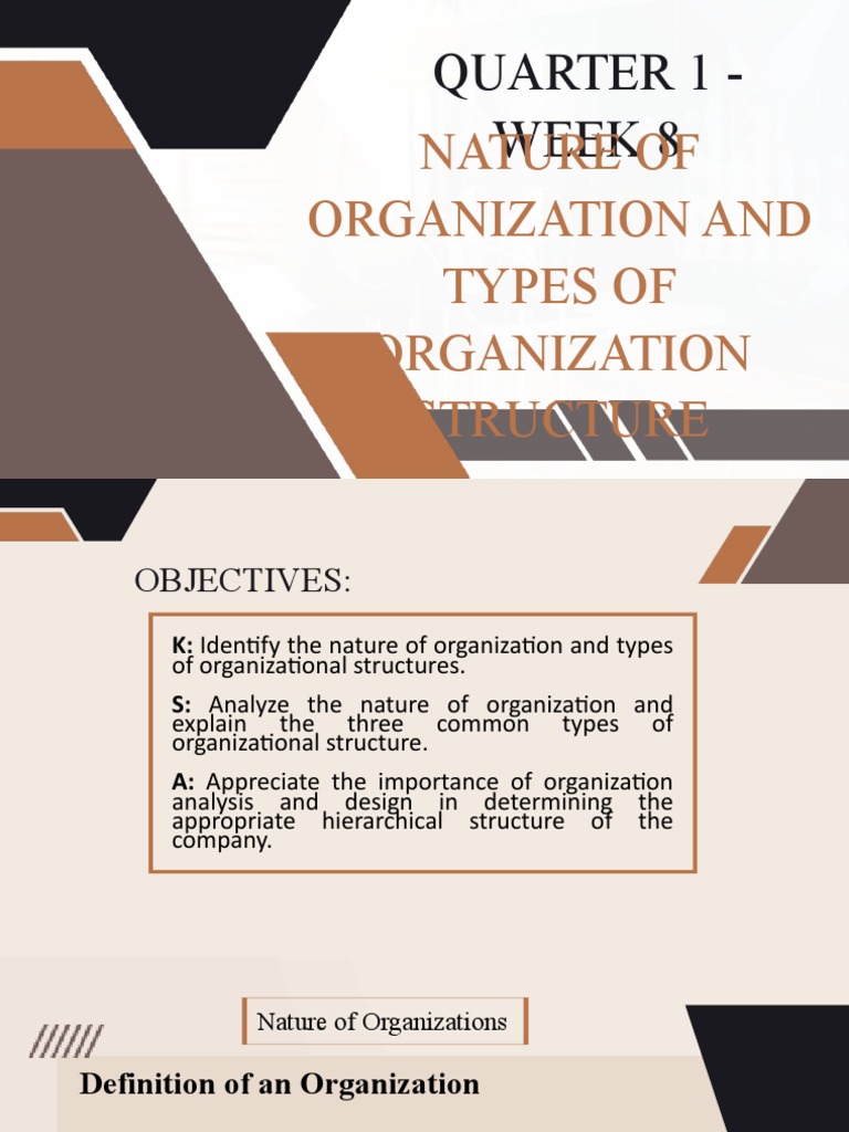 Nature of Organization and Types of Organization Structure | PDF