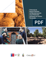 02.-Protocolo-de-Buenas-Prácticas-de-Manufacturación-de-nueces_2019