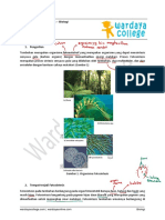 Modul Fotosintesis