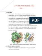 Tổng Quan Và Kết Luận Về Pyranose Oxidase