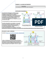 2 Activité 7 - Piles Et Accumulateurs