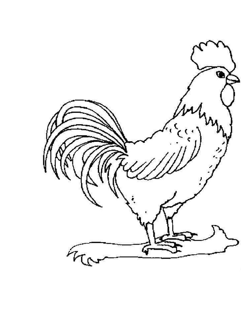 Cocos pdf
