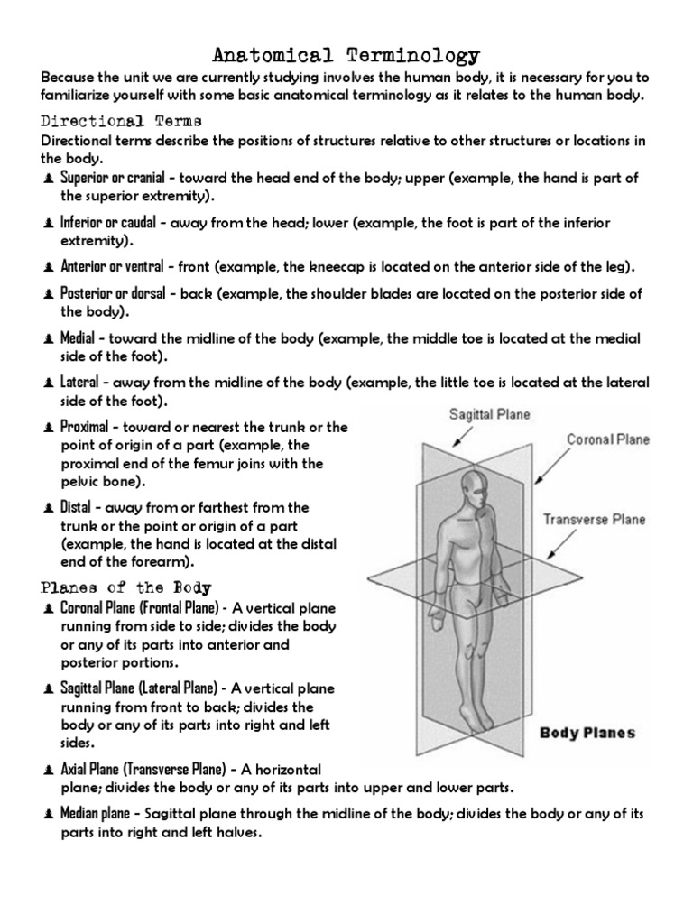 estimating-time-of-death-through-analysis-of-rigor-mortis-progression