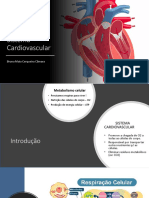 Sistema Cardiovascular