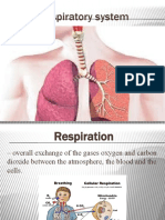 Chapter 10 Respiratory System Presentation