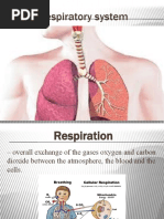 Chapter 10 Respiratory System Presentation