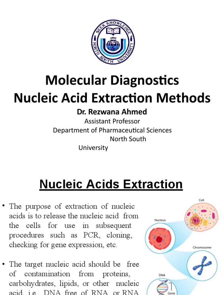 Lec2 Nucleic Acids Extraction PDF