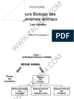 Cours BA Cordés S2 1 - Watermark - Compressed