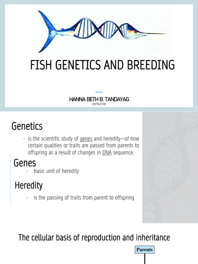 Genetic Engineering And Fish | Genetic improvement in aquaculture – JGJR
