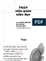 5. Thận - Niệu Đạo - Sinh Dục