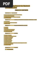 Download An Internship Report on Chartered Accountant Firm by Adeel Ahmad SN64577569 doc pdf