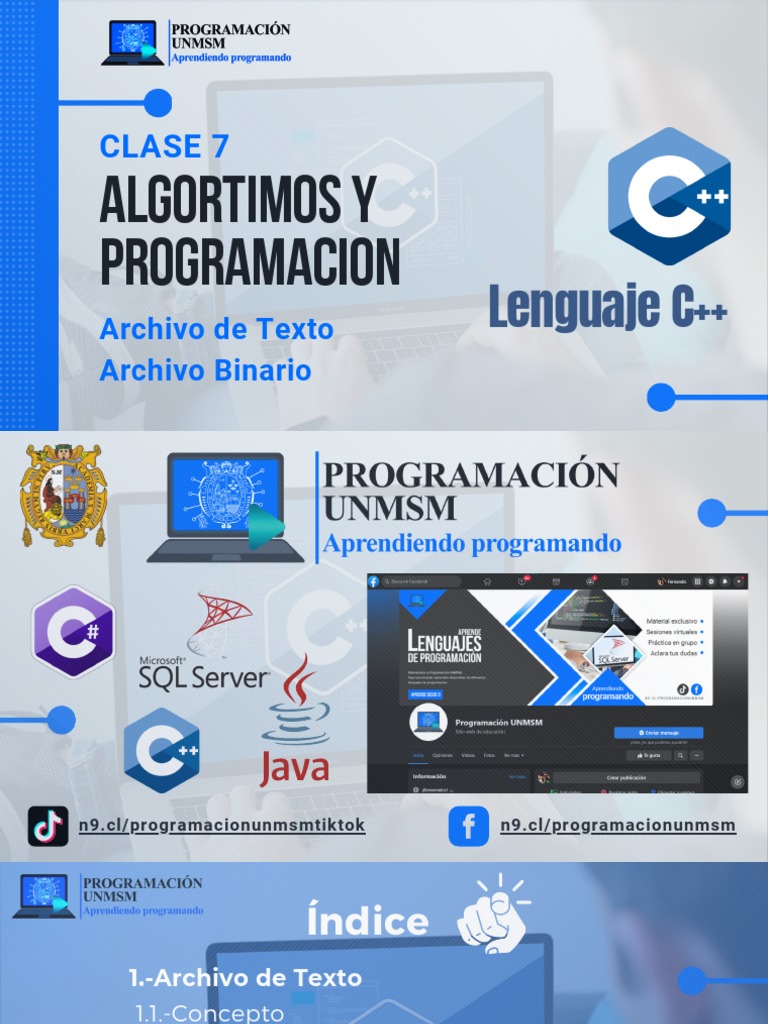 Archivos de Texto y Binarios en C++ | PDF | Archivo de computadora | C