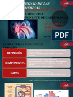 Clase 1 Anatomia y Fisiologia Cardiaca