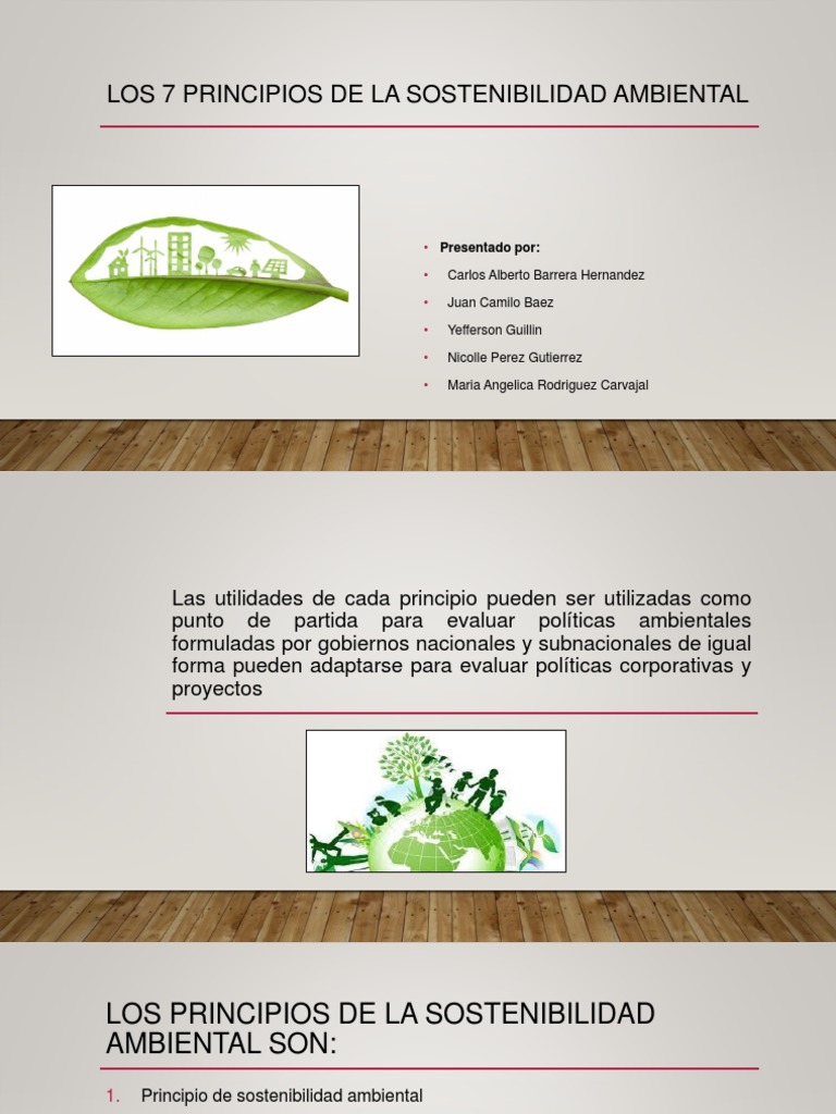 7 Principios de Sostenibilidad Ambiental | PDF | Sustentabilidad ...