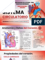 Sistema Cardiovascular