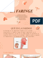 La Faringe