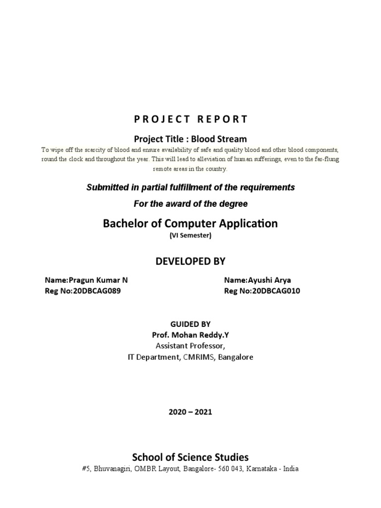 Projectreport | PDF | Computing | Systems Engineering