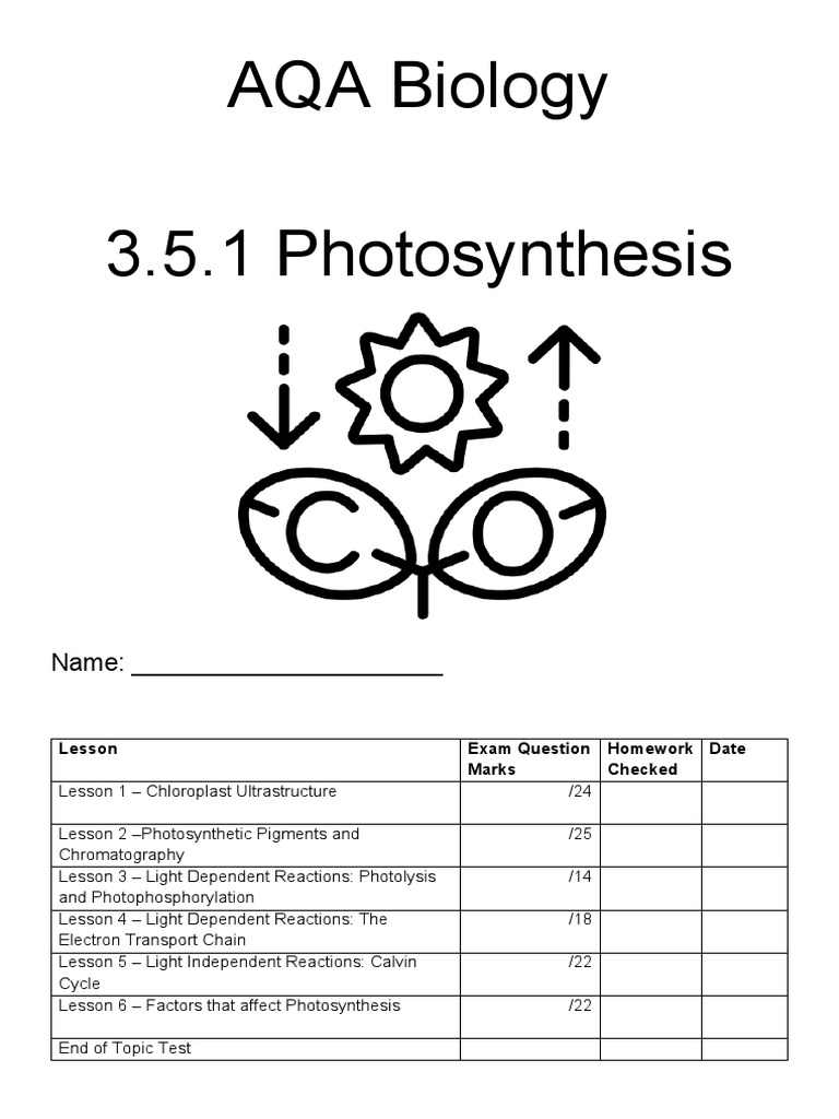Photosynthesis Study Guide | PDF