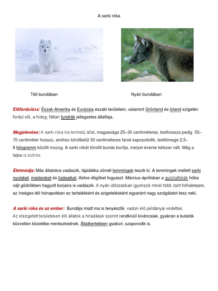A Sarki Róka | PDF