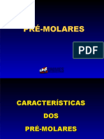 Aula - Caracteristicas Pré-Molares