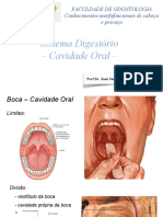 Cavidade Oral: Anatomia Morfofuncional