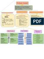 Mapa Conceptual ECOLOGIA ANIMAL