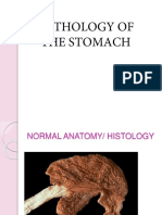 Stomach Pathology