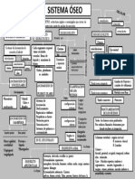 Mapa Conceptual Del Sistema Oseo 3