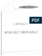 Libro de Histologia y Embriologia, Ii Parte