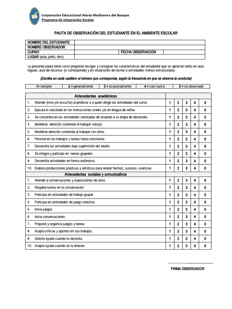 PAUTA DE OBSERVACIÓN PIE | PDF