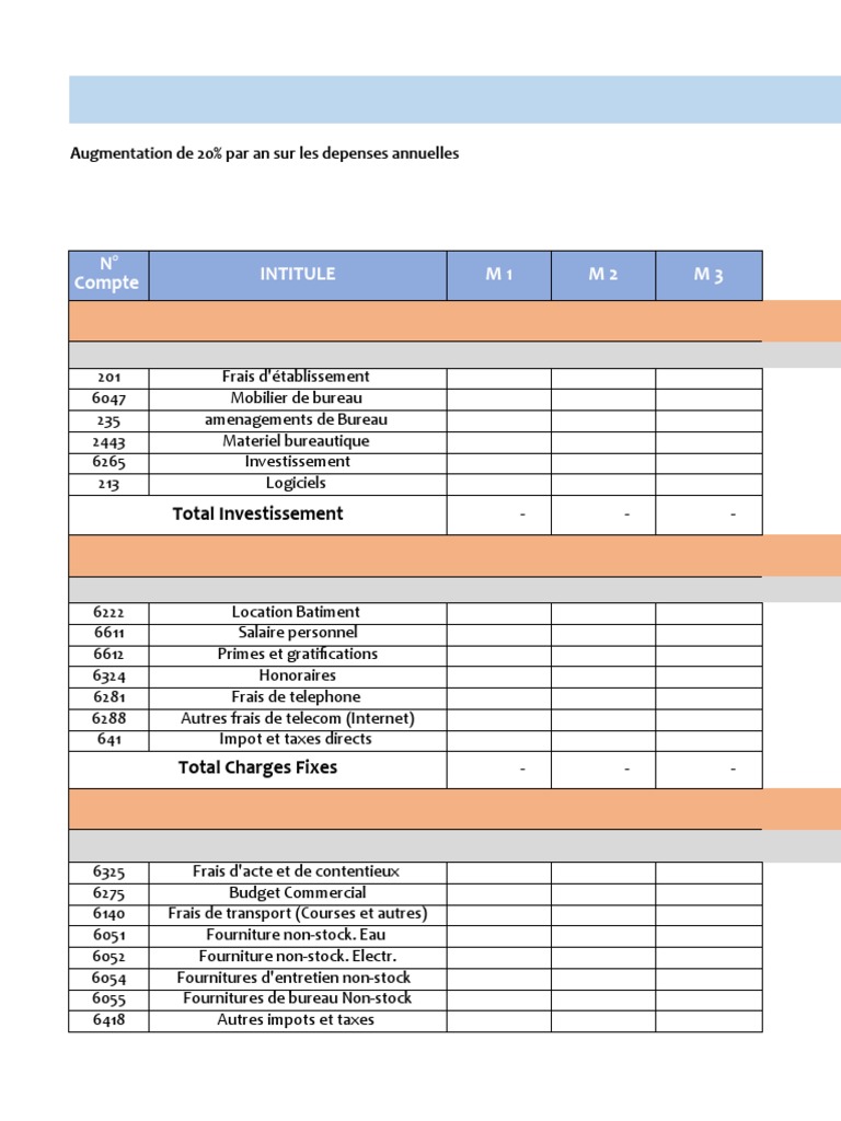 Budget Prévisionnel Cop | PDF