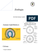 Zoologia - Zootecnia - Aula5